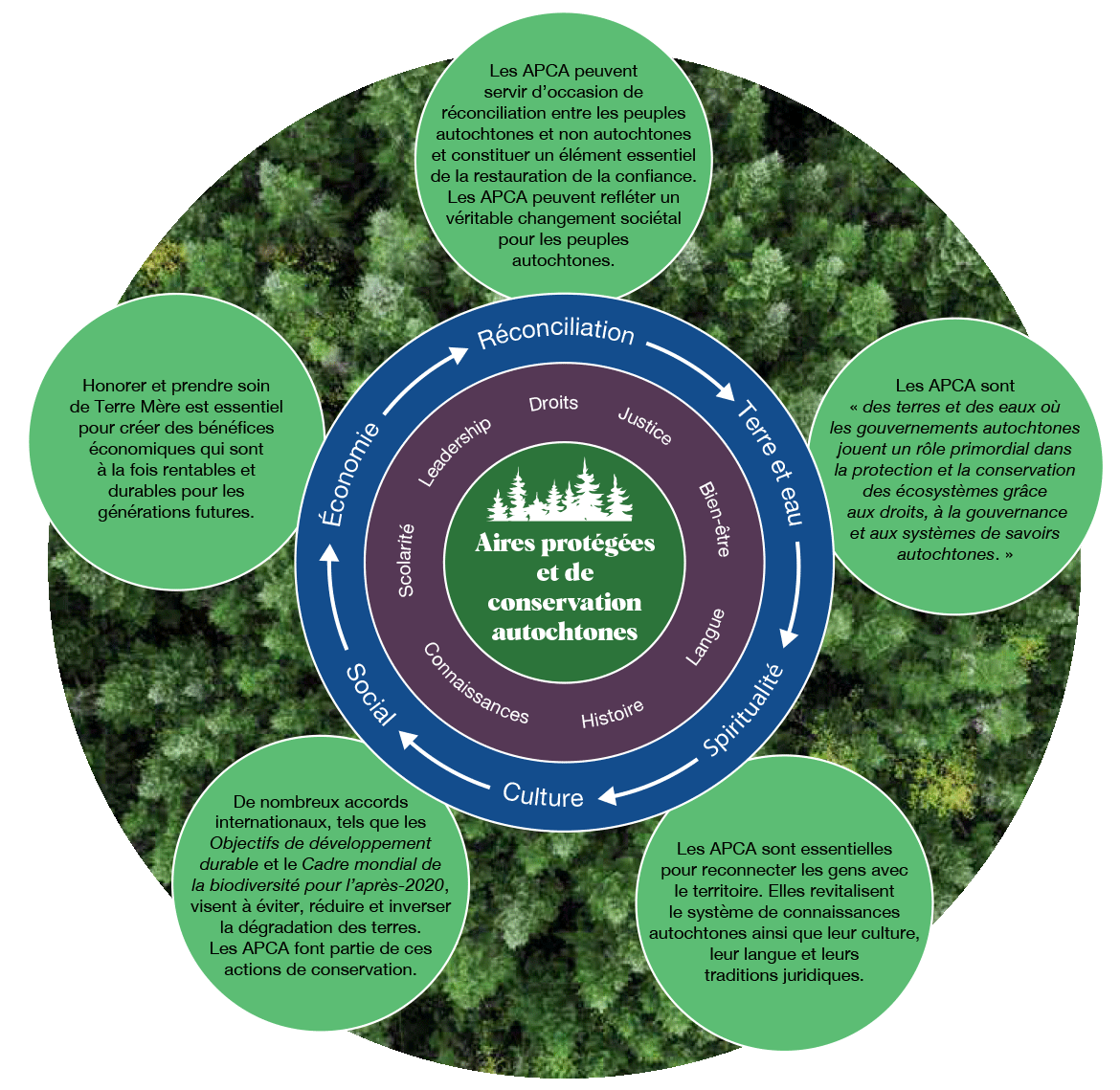 Cette image montre trois cercles concentriques représentant ce qui est une zone aire protégée et de conservation autochtoneindigène protégée et conservée (APCA). Le cercle intérieur comporte montre une icône l’image d’un environnement naturel forestier avec un plan d’eau et représente l’APCA elle-même sur le territoire. Les cercles du milieu et de l’extérieur comportent plusieurs mots représentant les valeurs et les systèmes autochtones (droits, justice, bien-être, langue, histoire, connaissances, éducation et leadership sur le cercle du milieu, et économie, réconciliation, terre et eau, spiritualité, culture et social sur le cercle de l’extérieur). Les mots du cercle extérieur sont reliés par des flèches qui montrent qu’ils sont tous interconnectés. Il y a également cinq zones de texte à côté des cercles concentriques décrivant les APCA et leurs objectifs.
